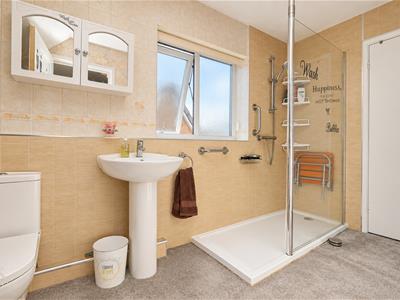 Picture 7